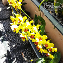 фото из отзыва ID 2588824