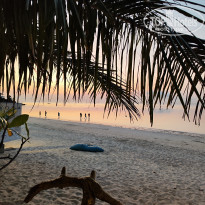 фото из отзыва ID 2588858