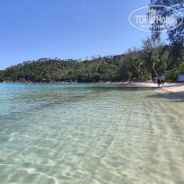 фото из отзыва ID 2588858