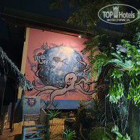 фото из отзыва ID 2588858