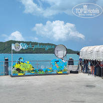 фото из отзыва ID 2588858