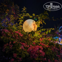 фото из отзыва ID 2588858