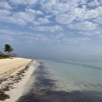 фото из отзыва ID 2588872