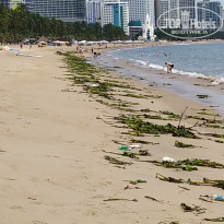 фото из отзыва ID 2588843