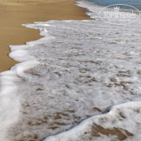 фото из отзыва ID 2588843