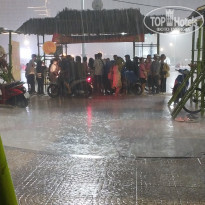 фото из отзыва ID 2588843