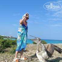 фото из отзыва ID 2589107