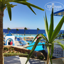 фото из отзыва ID 2589145