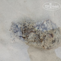 фото из отзыва ID 2589169