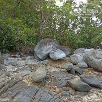 фото из отзыва ID 2589169