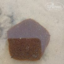 фото из отзыва ID 2589169