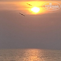 фото из отзыва ID 2589237