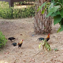 фото из отзыва ID 2589237