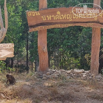 фото из отзыва ID 2589237