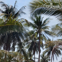 фото из отзыва ID 2589237