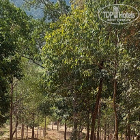 фото из отзыва ID 2589237