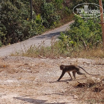 фото из отзыва ID 2589237