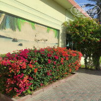 фото из отзыва ID 2589318