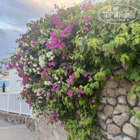 фото из отзыва ID 2589400