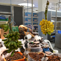 фото из отзыва ID 2589565