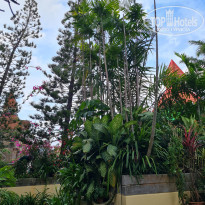 фото из отзыва ID 2589697