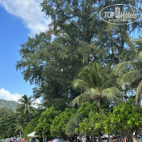 фото из отзыва ID 2589801