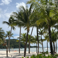 фото из отзыва ID 2589899