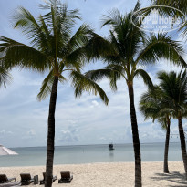 фото из отзыва ID 2589899