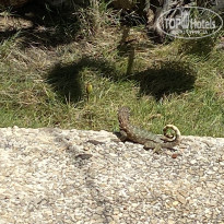 фото из отзыва ID 2580849