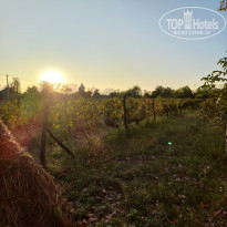 фото из отзыва ID 2580936