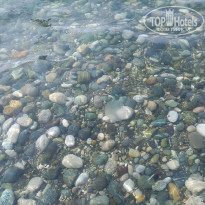 фото из отзыва ID 2580936