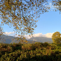 фото из отзыва ID 2580936