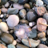 фото из отзыва ID 2583883