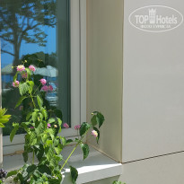 фото из отзыва ID 2582485