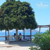 фото из отзыва ID 2582485