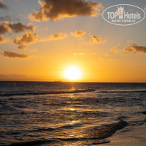 фото из отзыва ID 2581912