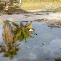 фото из отзыва ID 2581912