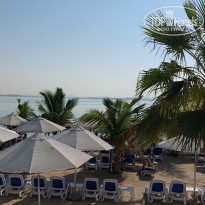 фото из отзыва ID 2586570