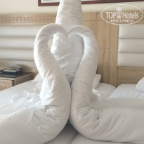 фото из отзыва ID 2582191