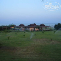 фото из отзыва ID 25945