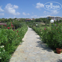 фото из отзыва ID 25951