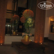 фото из отзыва ID 259597