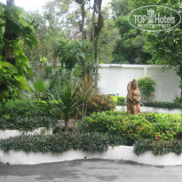 фото из отзыва ID 259700