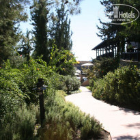 фото из отзыва ID 259728