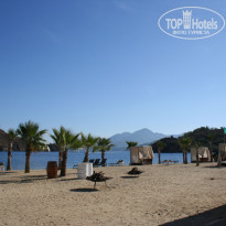 фото из отзыва ID 259728