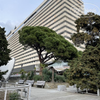 фото из отзыва ID 2590066