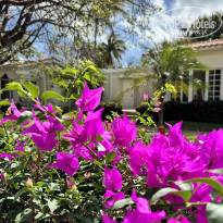 фото из отзыва ID 2590097