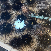 фото из отзыва ID 2590107