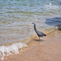 фото из отзыва ID 2590146