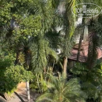 фото из отзыва ID 2590223